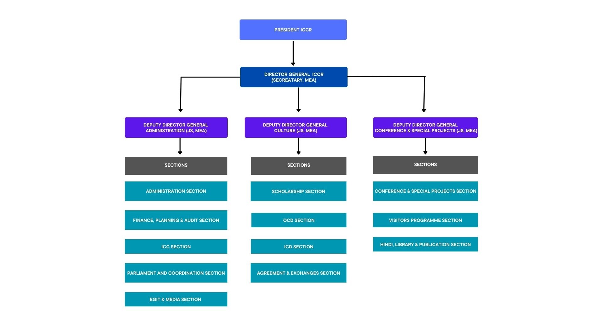 Organizational Structure