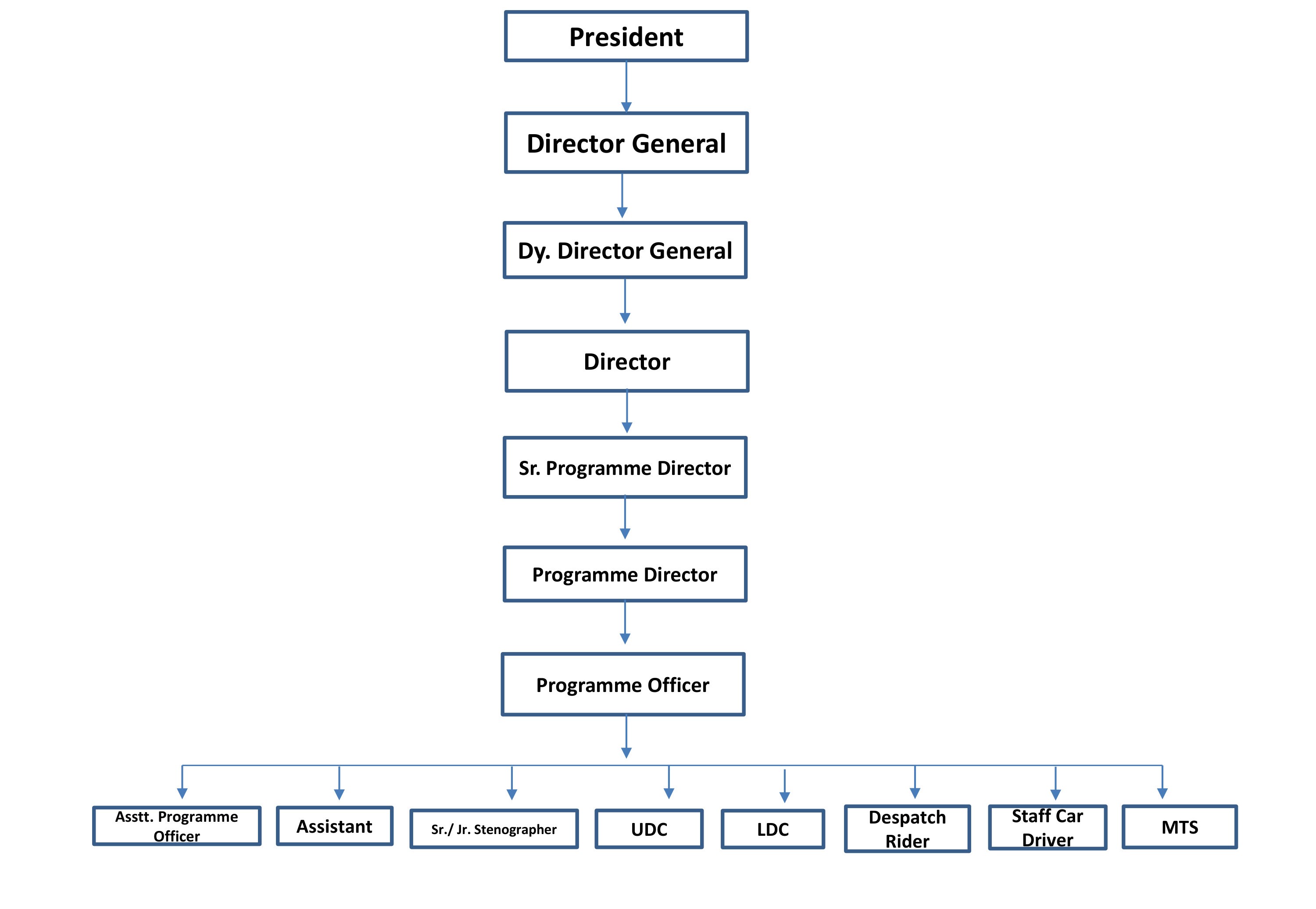 Organizational Structure